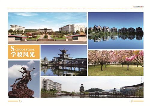 湖南民族职业学院2020年招生简章