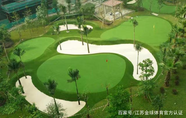 高尔夫人工果岭