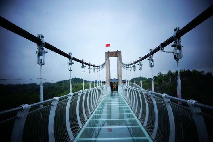 站在玻璃桥上观景,在高空角度可以拍摄到整个樱花园的美丽景色和欣赏