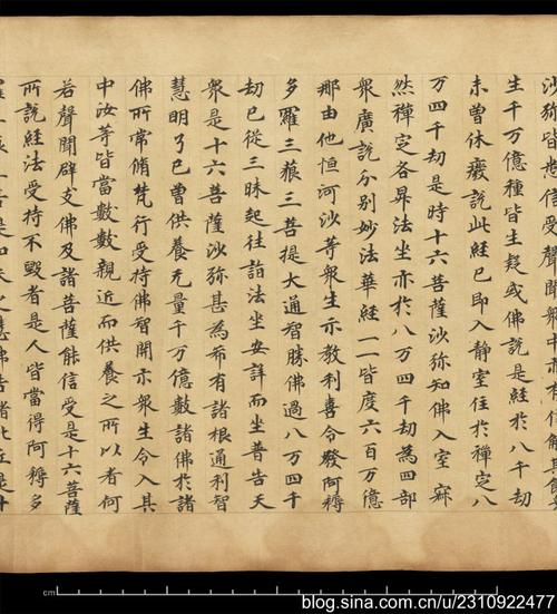 妙法莲华经卷第三(s.923)