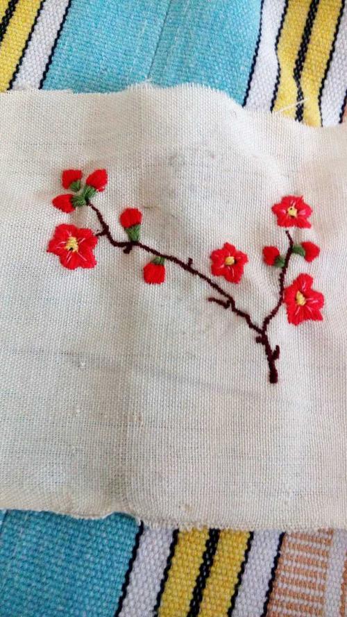 对于刺绣初学者,有什么推荐的针法图案或者书籍吗?