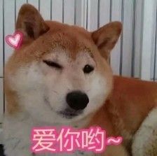 表情包