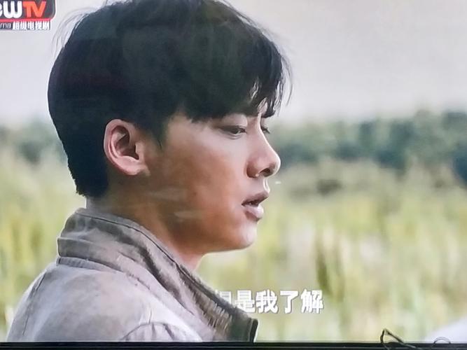 《隐秘而伟大》观后感