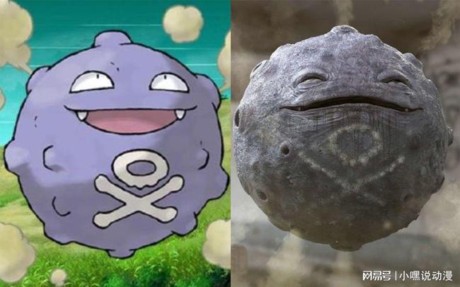 瓦斯弹是毒属性的神奇宝贝,可以进化成双弹瓦斯.