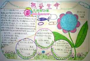 绽放生命手抄报