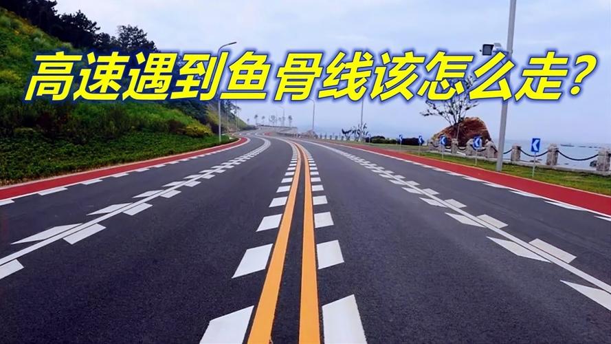 开车遇到鱼骨线该怎么走?交警:别乱开,不然12分不够扣