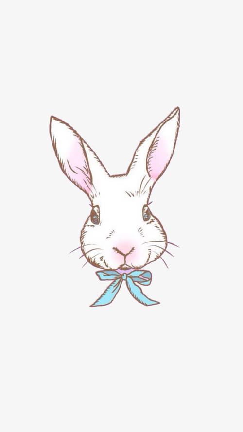 兔子,长耳朵,可爱,卡通