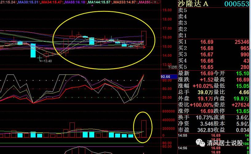 个股点评0036:000553 沙隆达a
