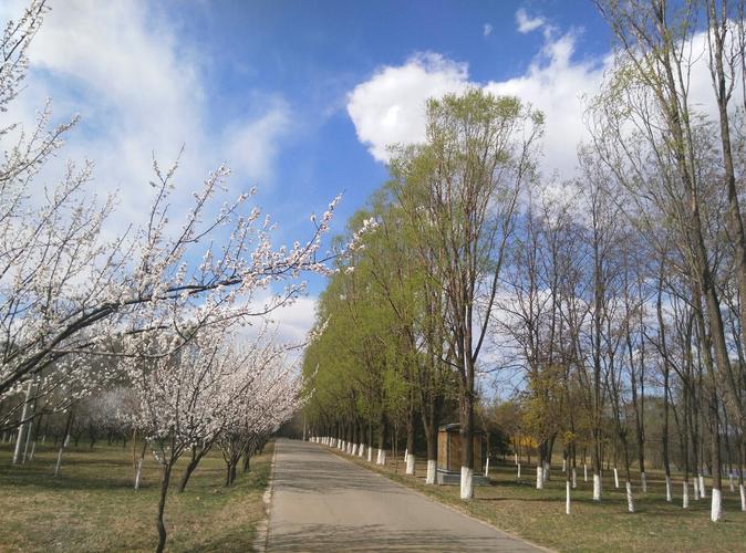 北京市延庆区北京邮电大学世纪学院菁园6号楼北京邮电大学世纪学院