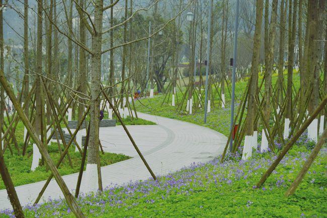 东津沱滨江公园值得去吗?看完你就知道了|合川|涪江