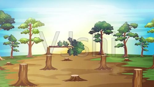 森林砍伐环境保护背景