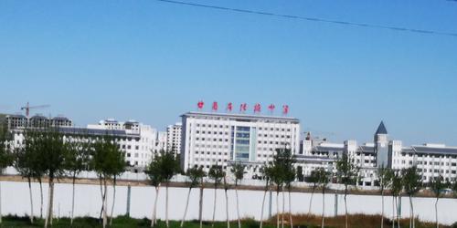 甘肃省张掖中学,在路边真是神气.