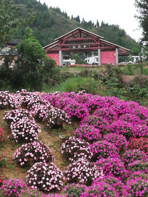 贵州凯里万花谷游记