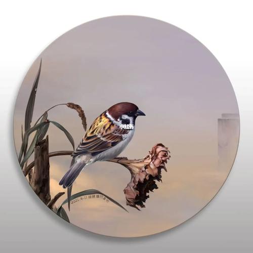 麻雀_绘画_文化_绘画