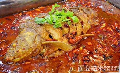 长江金宝鱼