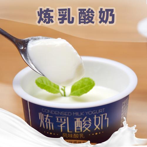 商用水果捞炼乳酸奶粉固体饮料奶茶店甜点烘焙酸奶专业原料辅料
