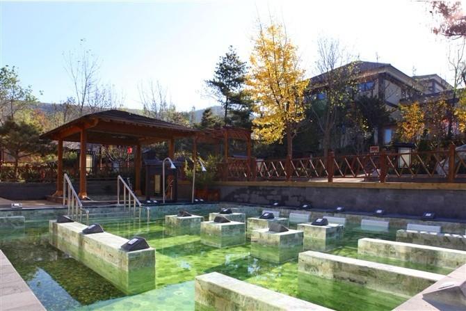 大连唐风温泉一日游直通车含唐风温泉票往返车费一顿自助餐150元