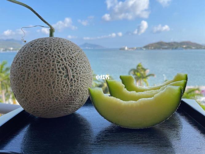 海南三亚牛3玫龙瓜 品质与口感媲美静冈夕张网纹瓜 秒