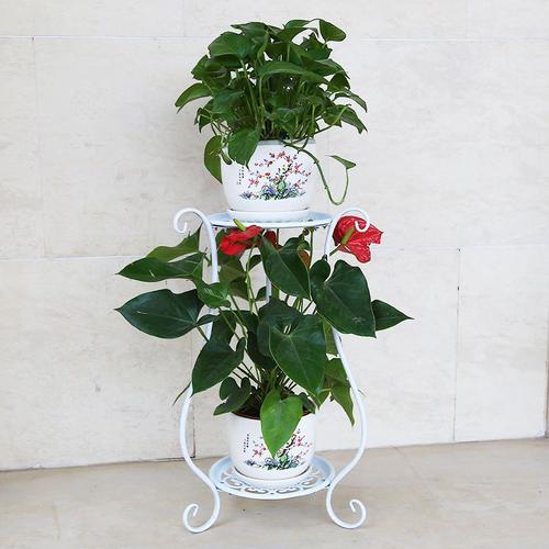 苏宁放心购特价多层铁艺落地阳台花架子客厅室内绿萝吊兰花盆架简约