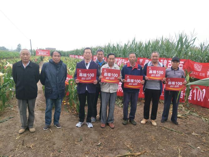 萧县杜楼参观嘉喜100