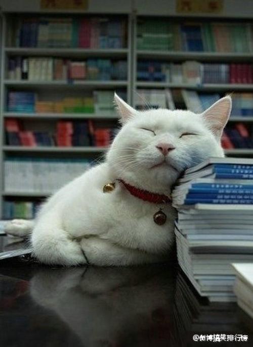 哎----一碰书就犯困.