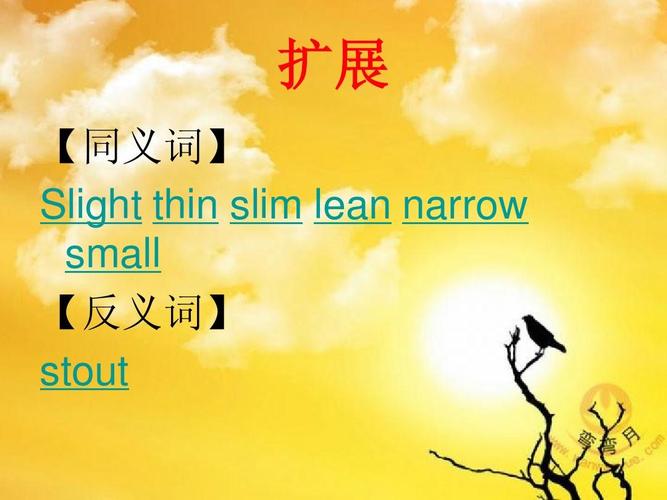 扩展 【同义词】 slight thin slim lean narrow small 【反义词】