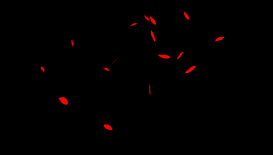 花瓣飘落是gif图,荷花图是jpg图.感激不尽.