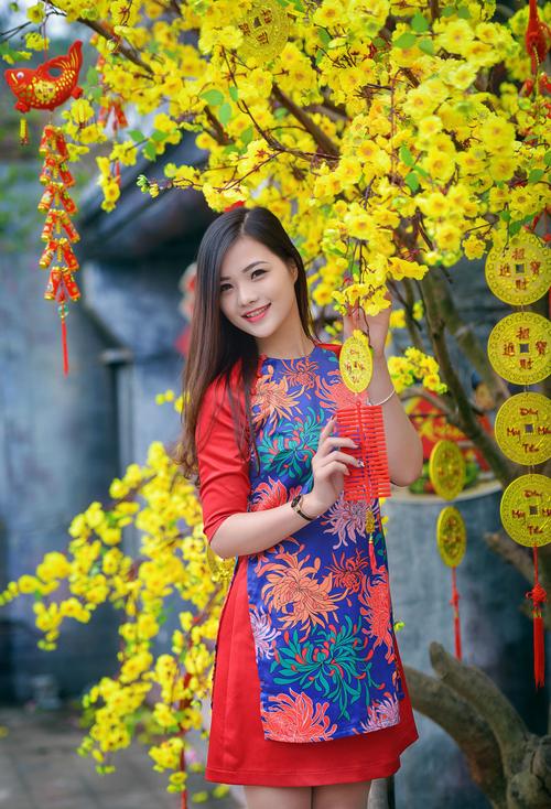 异域风情越南妹