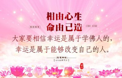佛法,善知识,正能量.
