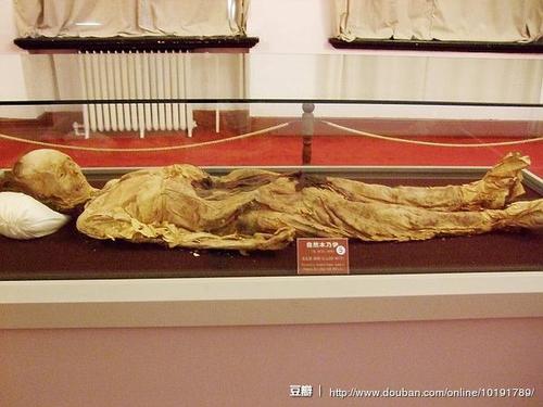旅顺博物馆 自然木乃伊.