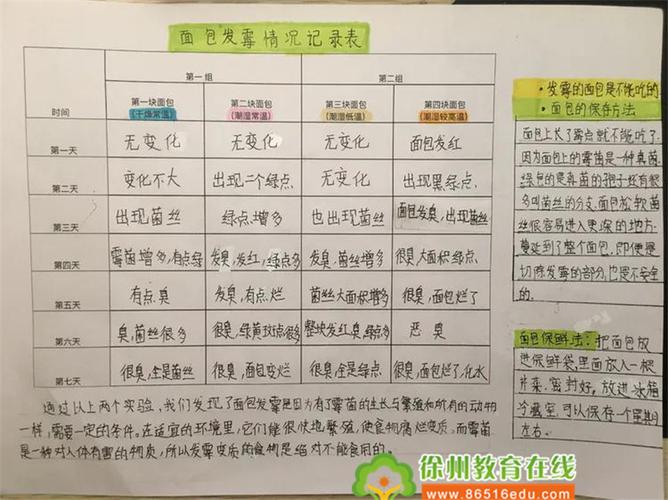 特殊的寒假别样的收获记求是小学四年级学生的创意活动课程