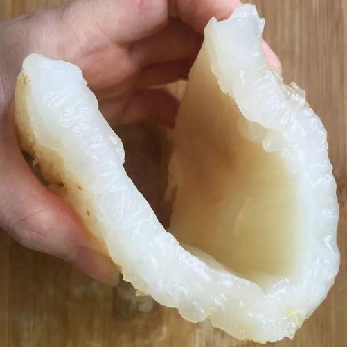 教你6种主流花胶泡发方法泡出胶质满满的花胶