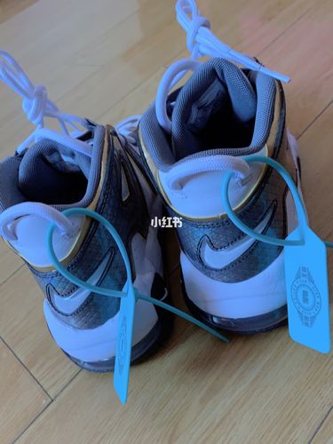 耐克皮蓬大air蛇纹_耐克怎么样_鞋子_时尚_鞋靴