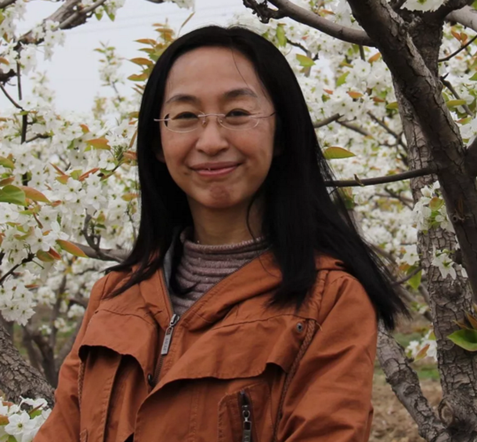 河北女诗人小辑