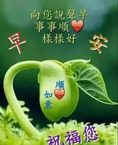 早晨慰问朋友的祝福语短信最新版,最美早上好问候语祝福表情图片