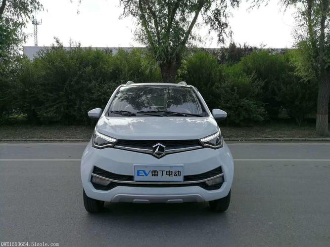 老年代步车哪个品牌好雷丁s50