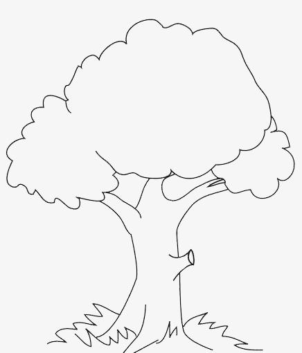 大树睡着了的简笔画 简笔画图片大全-蒲城教育文学网