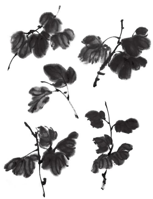 【国画教程】简单易学的写意菊花,菊叶画法步骤