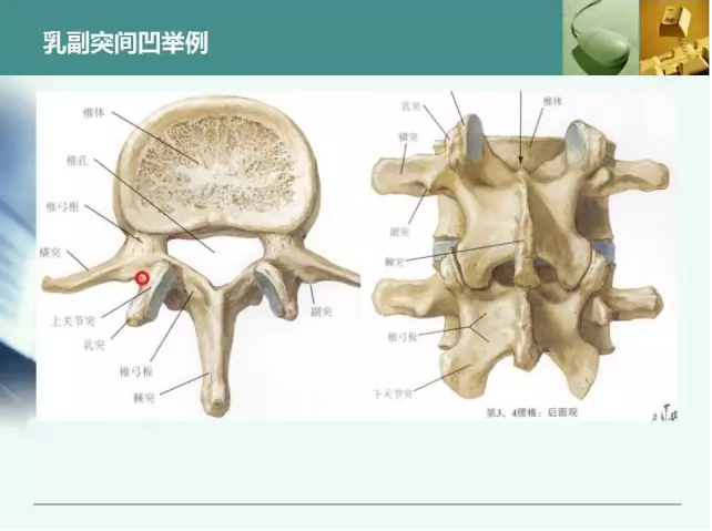 最全胸腰椎椎弓根置钉技术