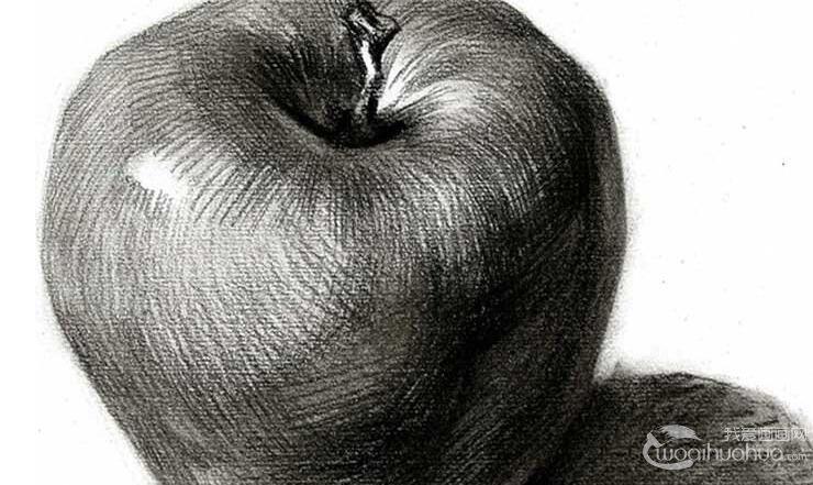 素描水果_我爱画画网