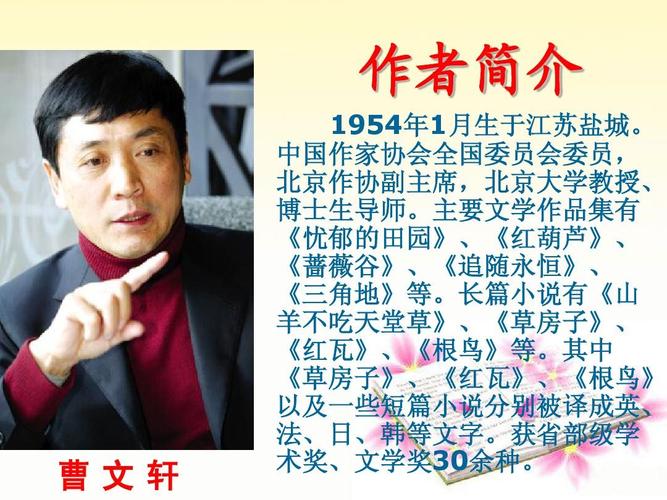 所有分类 高等教育 文学 青铜葵花ppt  青铜葵花 阅读梳理 作者简介