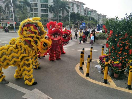 金狮迎春 福至泰来一一我司在尚城花园举行2019年醒狮拜年活动