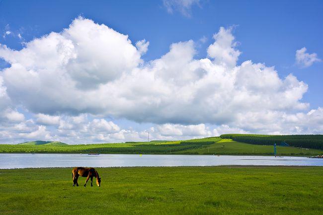 去内蒙古一定要选择自驾游,这一路的景色让你流连忘返!