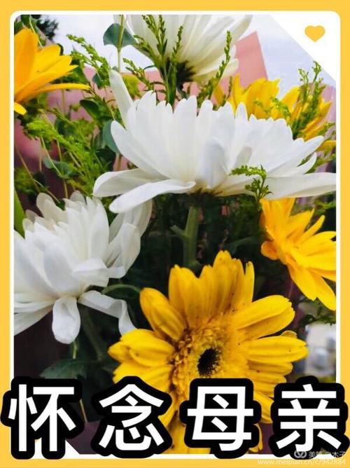 十年前五月初夏的夜空,母亲追随父亲去了天堂,解除了尘世间身体