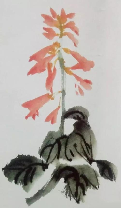 国画技法——一串红图文教程(案例)