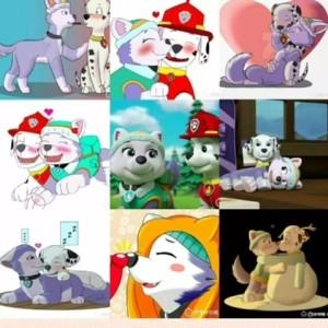 汪汪队奇天,毛珠cp组