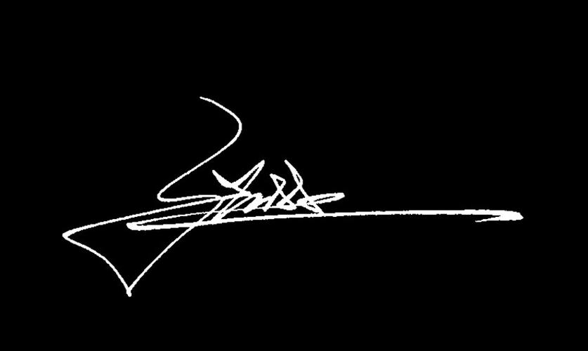 张琳的艺术签名怎么写