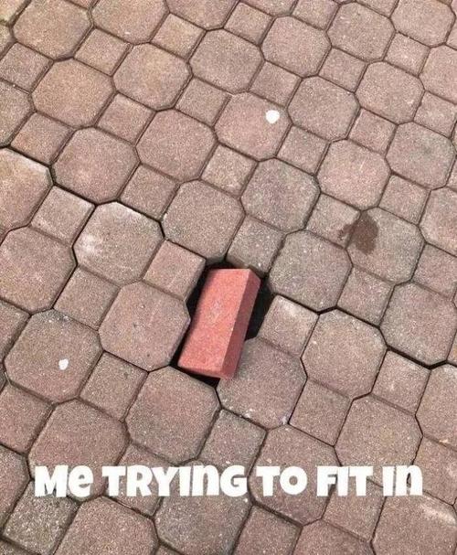 雅蠛蝶-大神   试图融入其他人的我