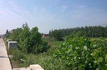 清顺治年间,始设邑令,为监利县治之要地.