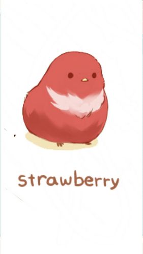 萌萌哒小鸡# 来自分享